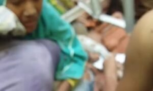 IMG_20191106_053138-723017