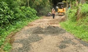 IMG_20191210_172417-709868-1