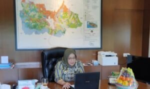 IMG_20201222_065005-753268