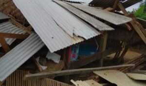 IMG_20210105_131251-710739-1