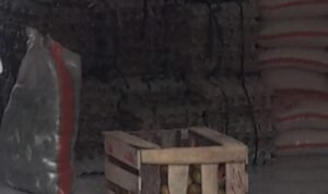 IMG_20210225_232105-767795-1