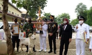 IMG-20210701-WA0140-745872-1