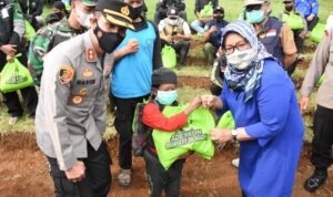 IMG-20210810-WA0029-781636-1