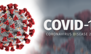 IMG_20200328_135002-758485