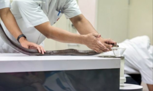 Screenshot_2019-12-22-08-55-00-947_com.android.chrome-703097